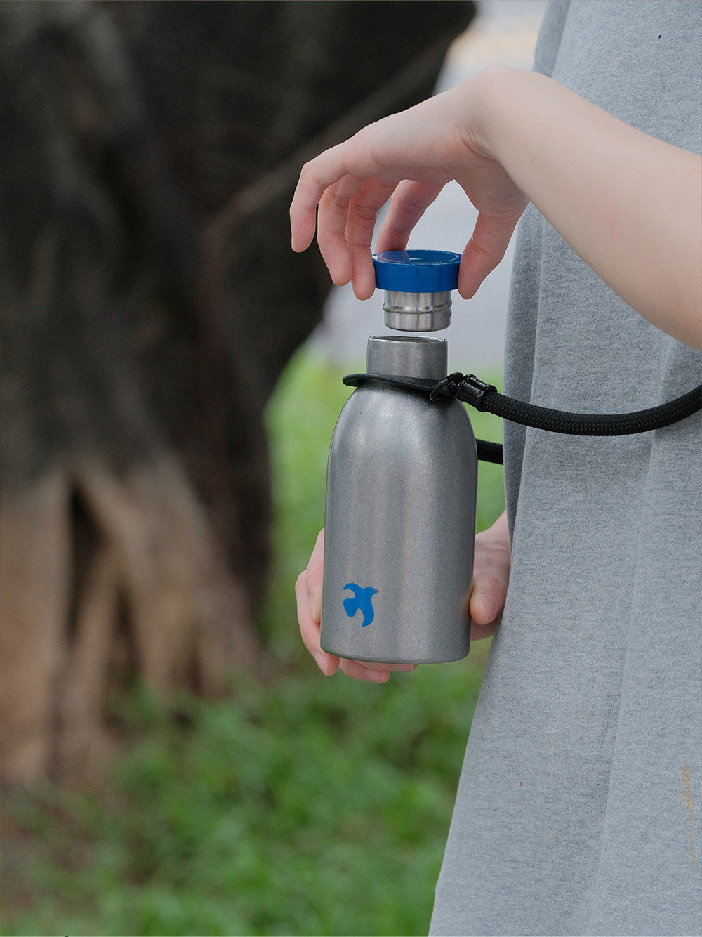 Stainless Steel Insulated Tumbler